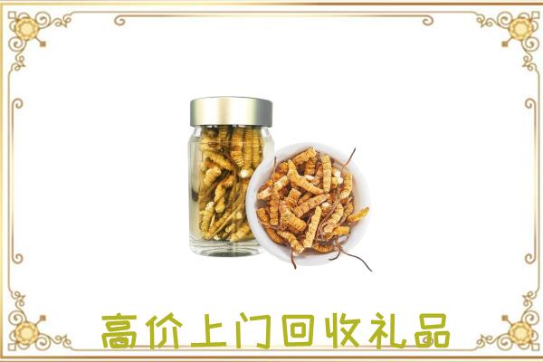 青岛周边回收虫草